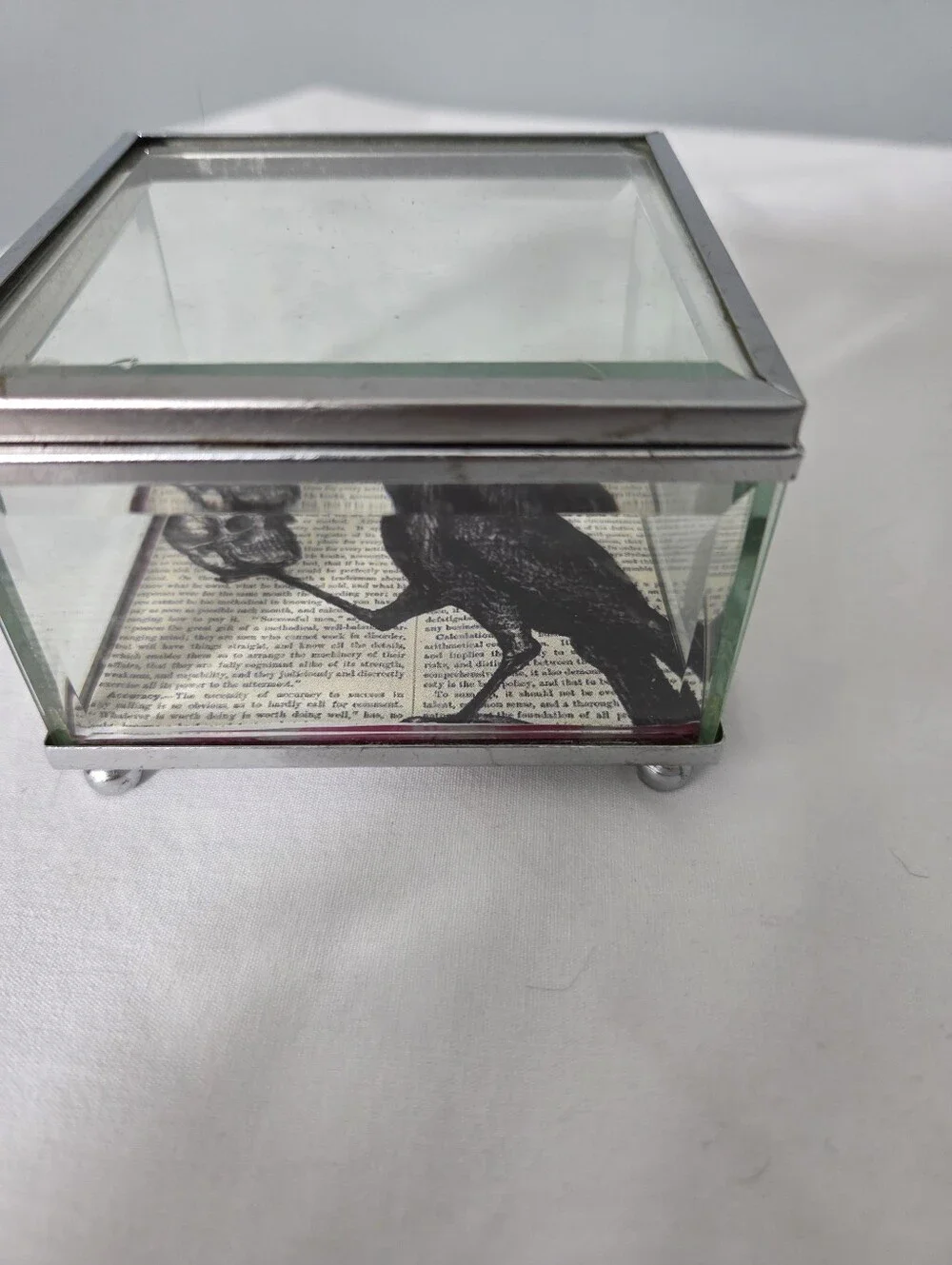 Decorative glass and metal keepsake box gothic-style a Rave and a human skull